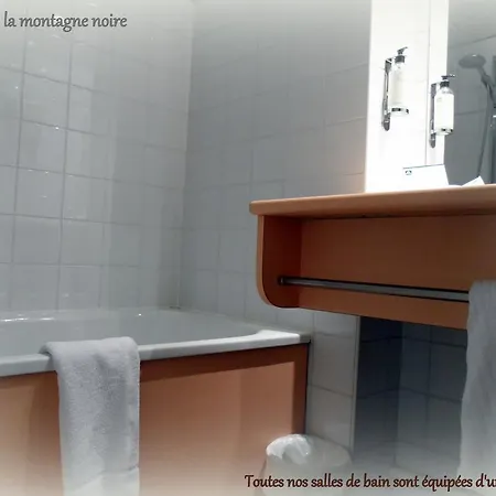 Alma Best Hotel Castres 2*